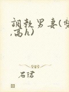 调教男妻(双性,高h)