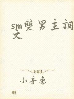 sm双男主调教文