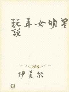 玩弄女明星的小说封面