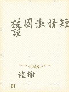校园激情短篇小说封面