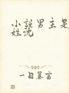 小说男主是律师姓沈