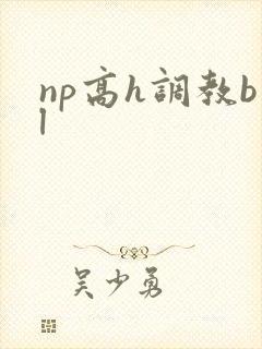 np高h调教bl