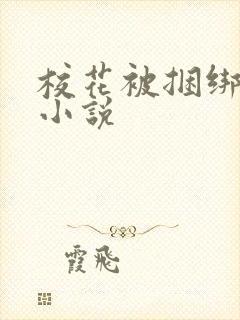 校花被捆绑调教小说