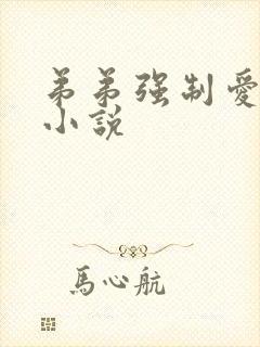 弟弟强制爱哥哥小说