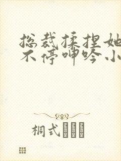 总裁揉捏她两乳不停呻吟小说