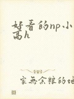 好看的np小说高h封面