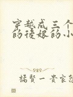 穿越成三个反派的后娘的小说