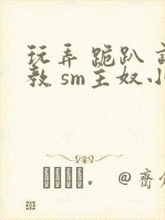 玩弄 跪趴 调教 sm主奴小说封面