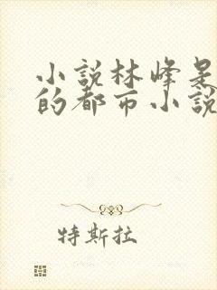 小说林峰是主角的都市小说