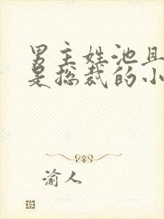 男主姓池且男主是总裁的小说