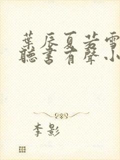 叶辰夏若雪孙怡听书有声小说封面