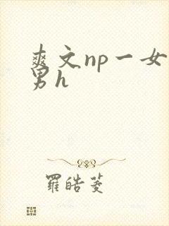 爽文np一女多男h