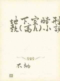 地下室酷刑性调教(高h)小说封面