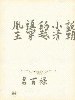 胤禛的小说,女主穿越清朝