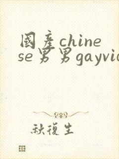 国产chinese男男gayvideo