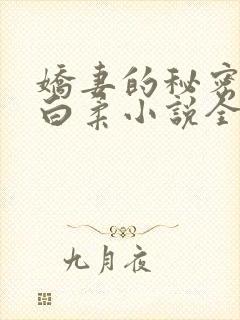 娇妻的秘密王平白柔小说全文阅读