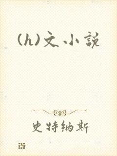 (h)文小说封面