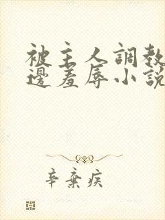 被主人调教边c边羞辱小说封面