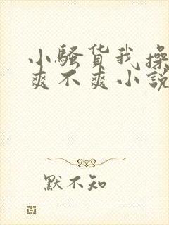 小骚货我操的你爽不爽小说