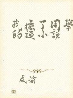 我操了同学妈妈的逼小说