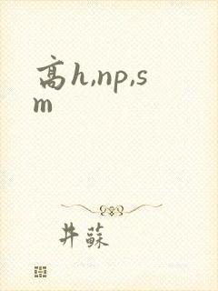 高h,np,sm