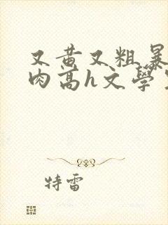 又黄又粗暴的纯肉高h文学生男男