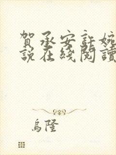 贺承安许婉淑小说在线阅读封面