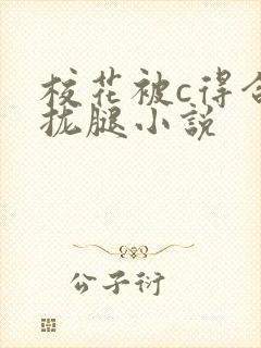 校花被c得合不拢腿小说封面