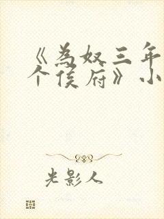 《为奴三年后整个侯府》小说