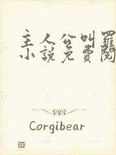 主人公叫罗铮的小说免费阅读笔趣阁封面