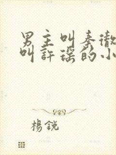 男主叫秦彻女主叫许瑶的小说封面