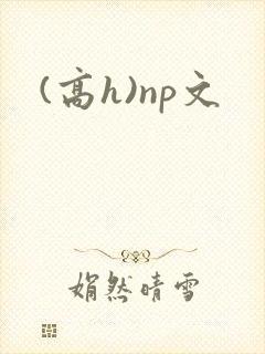 (高h)np文