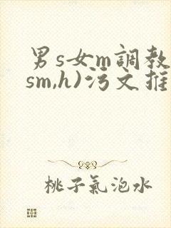 男s女m调教(sm,h)污文推荐