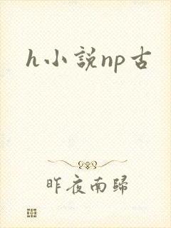 h小说np古