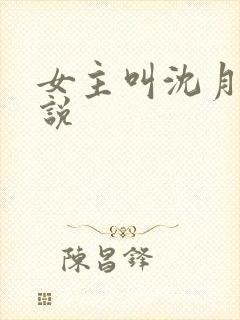 女主叫沈月的小说