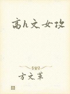 高h文女攻