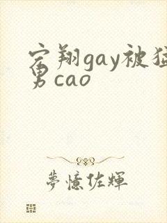 宏翔gay被猛男cao