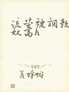 流萤被调教成肉奴高h