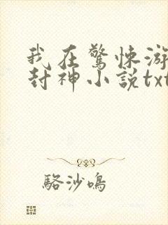 我在惊悚游戏里封神小说txt网盘