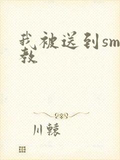 我被送到sm调教封面