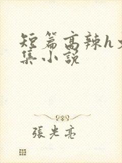 短篇高辣h文合集小说