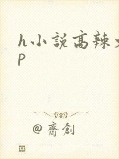h小说高辣文np