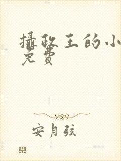 摄政王的小闲妻免费封面
