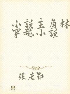 小说主角林峰的穿越小说