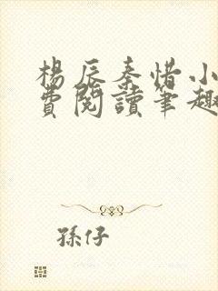 杨辰秦惜小说免费阅读笔趣阁更新