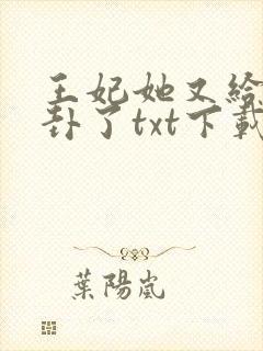 王妃她又给人算卦了txt下载封面