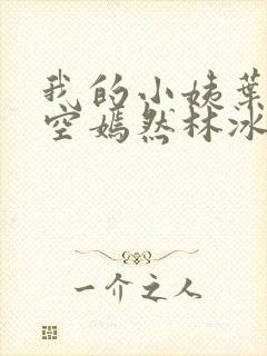 我的小姨叶凡司空嫣然林冰封面