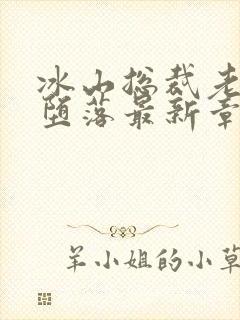 冰山总裁老婆的堕落最新章节免费阅