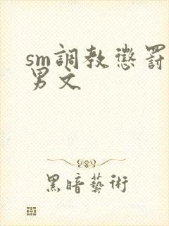 sm调教惩罚男男文