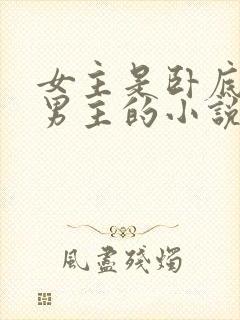 女主是卧底背叛男主的小说